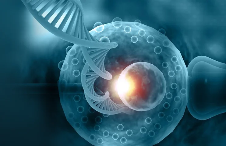 Clínica de Fertilidad en Tijuana PGT