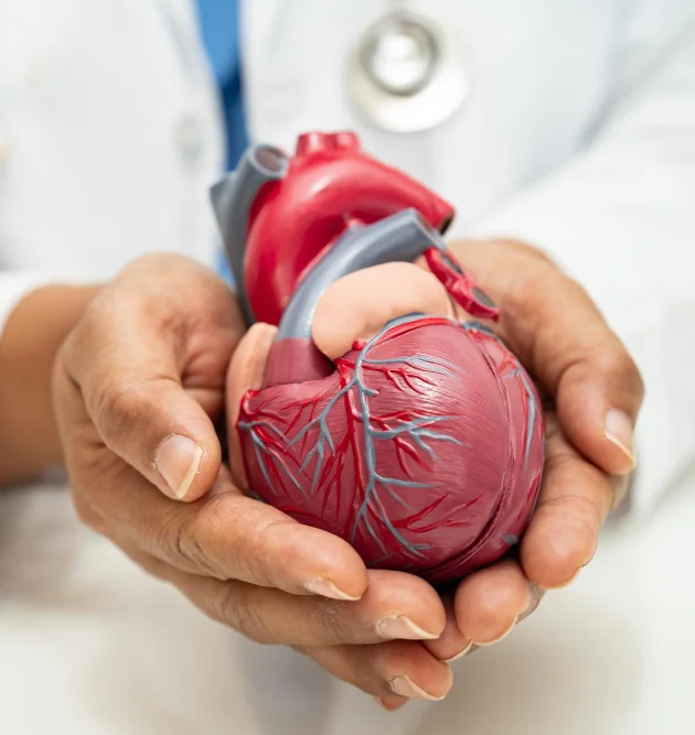 Advanced Cardiology in Tijuana - Cardiología avanzada en Tijuana