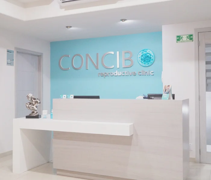 Concibo