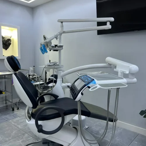 Almont Dental Care Center Interior