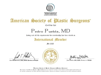 American Society of Plastic Surgeons Pedro L Puebla