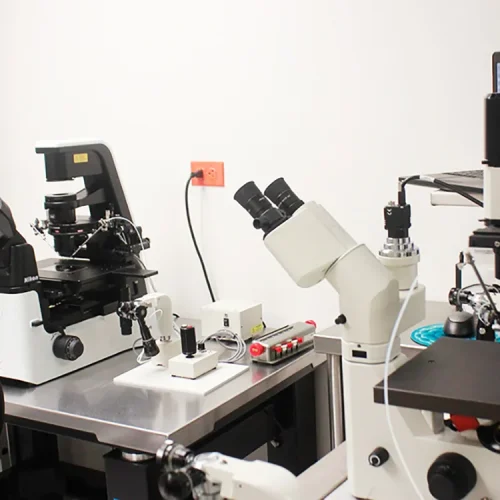 FOTO LABORATORIO - CONCIBO REPRODUCTIVE CLINIC
