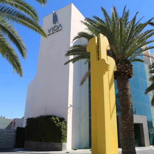 VIDA Wellness and Beauty