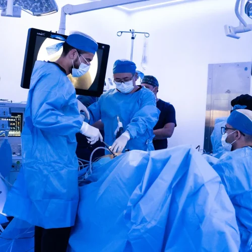 Doctors Endoglobal Surgeons